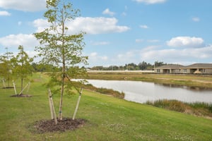 Brumfield Xing-S1401-044.jpg