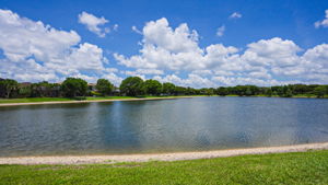  Photo 67