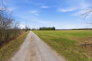  Photo 45