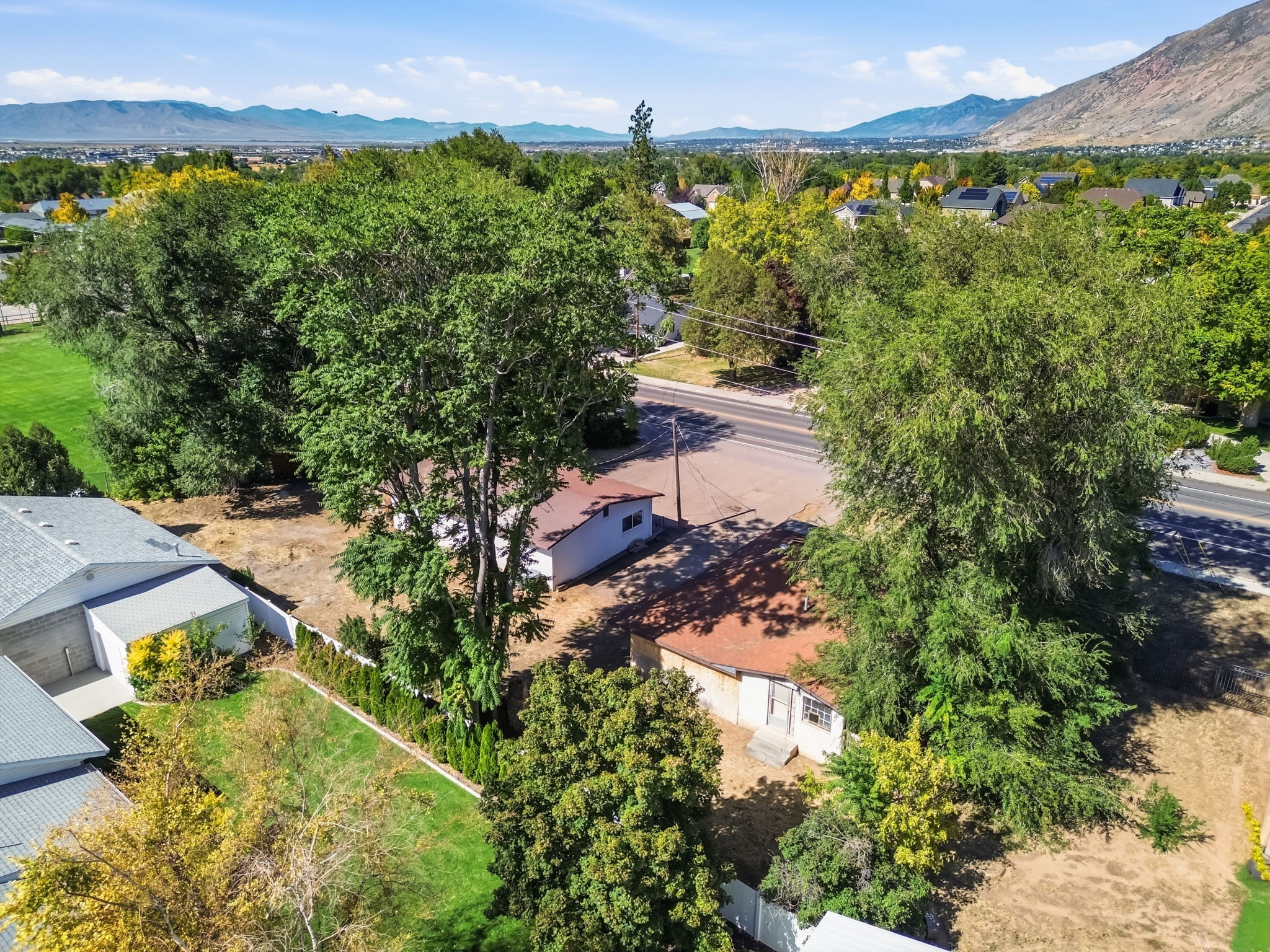 mature trees, home and detached business