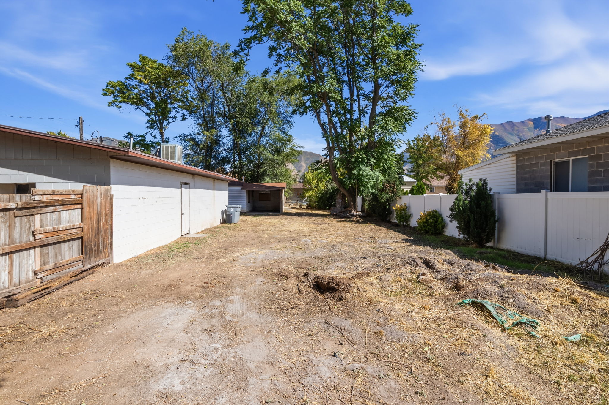 backyard, detached building in foreground
