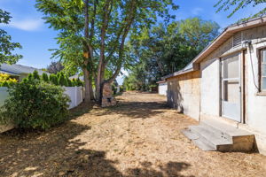 back yard, outdoor fireplace