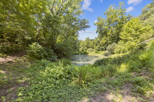 1245 Walnut Hill Farm Dr, Chesterfield, MO 63005, USA Photo 59