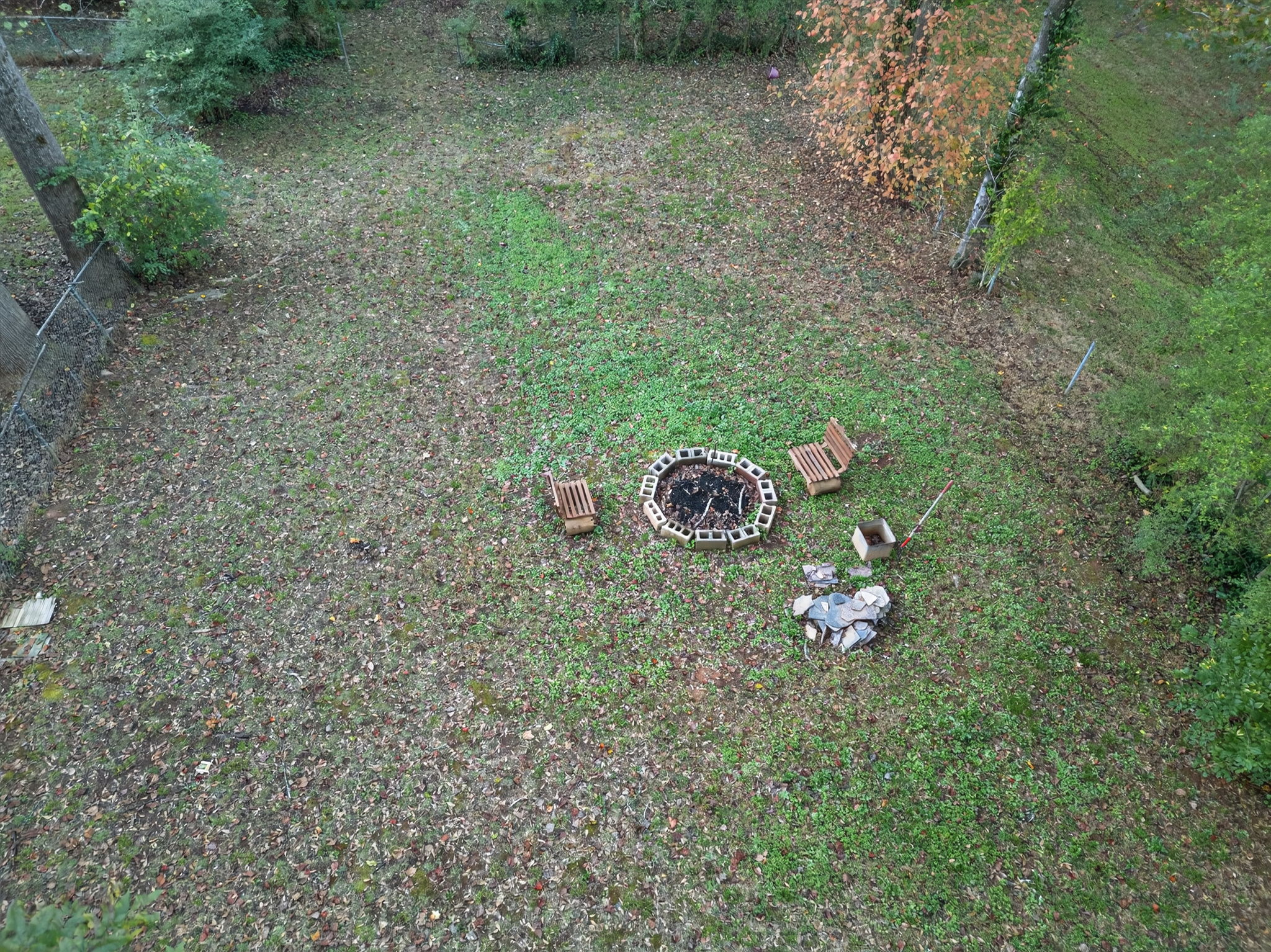 mppmedia1245woodlandavese42