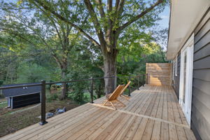 mppmedia1245woodlandavese18