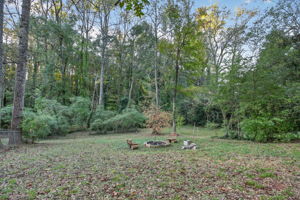 mppmedia1245woodlandavese35