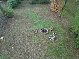 mppmedia1245woodlandavese42