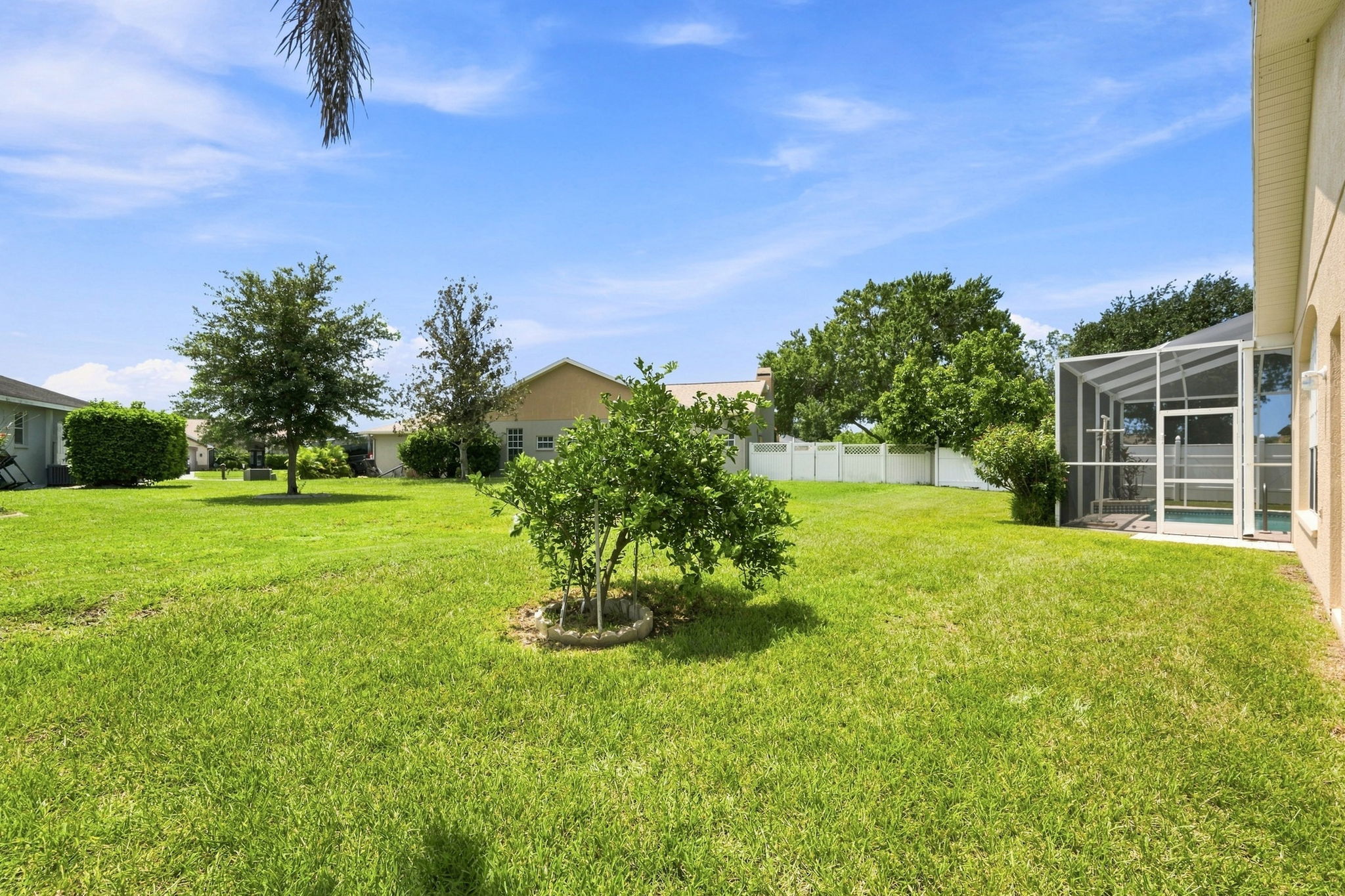 Backyard3
