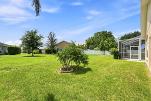 Backyard3