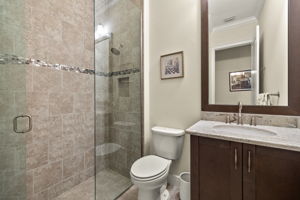 Guest Bathroom 2