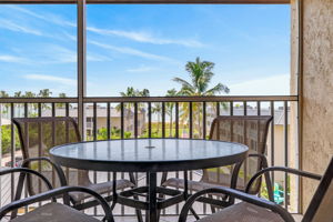 Lanai View