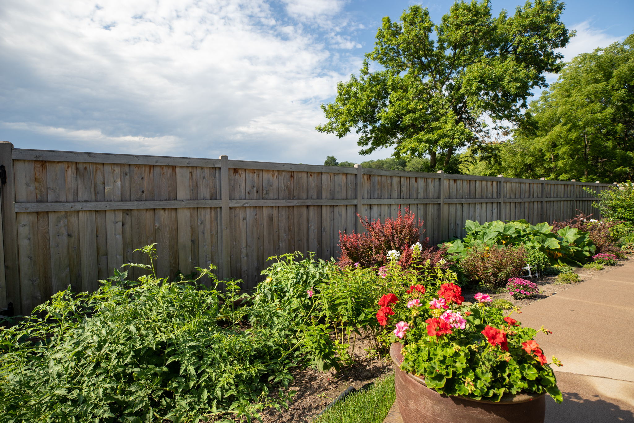 1246 Willow Ln, Roseville, MN 55113, USA Photo 55