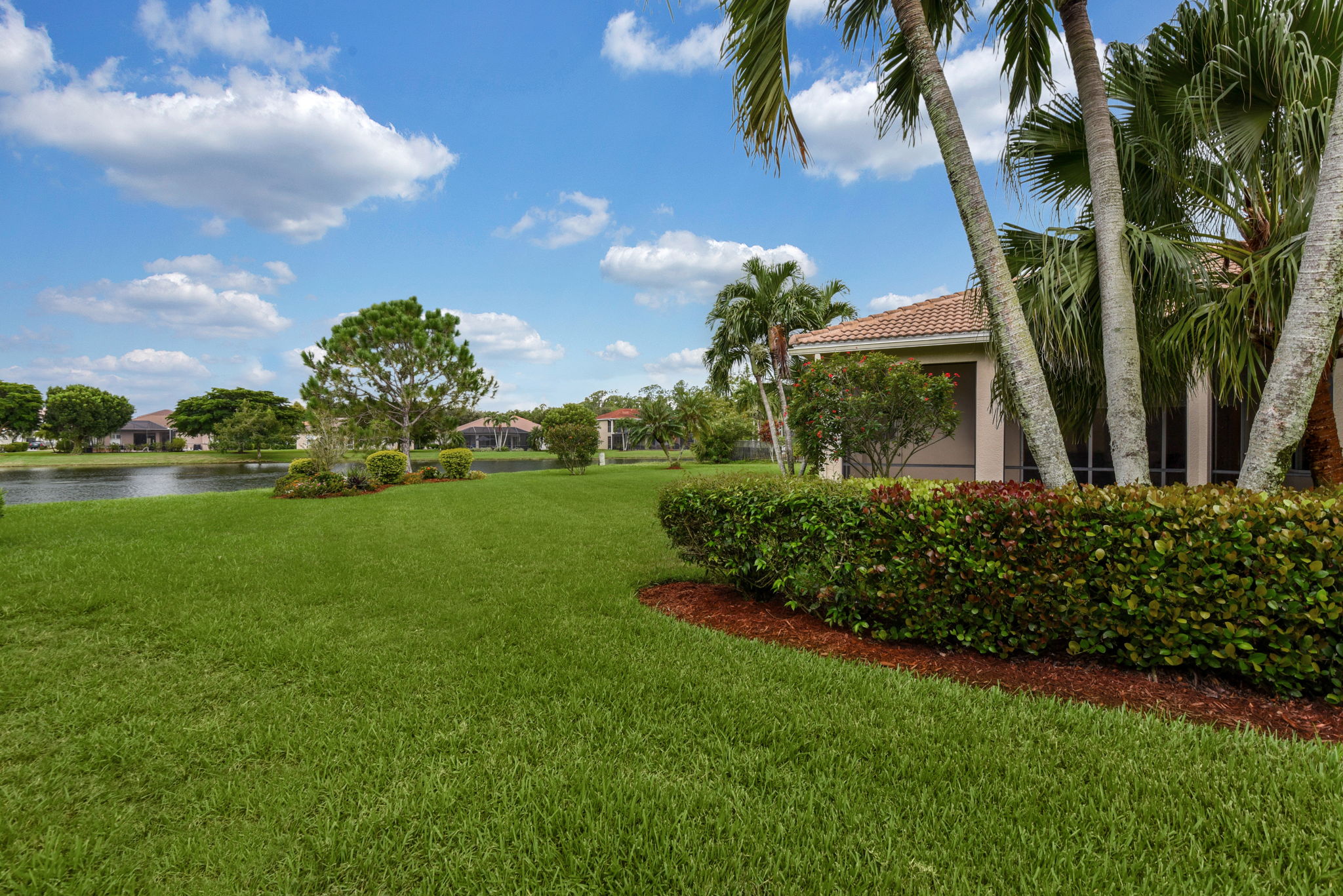Large Backyard