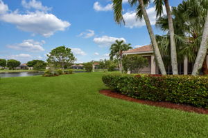 Large Backyard