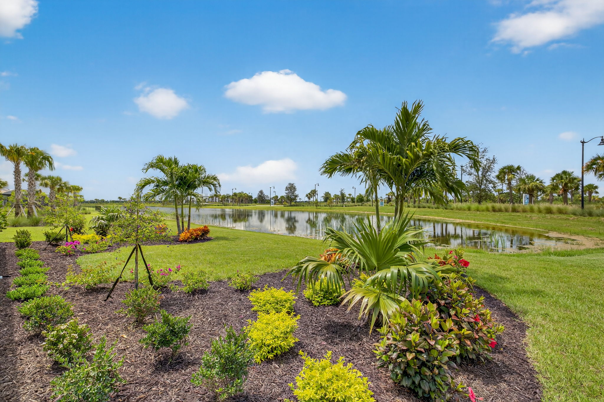 Rear Exterior 2 of 2