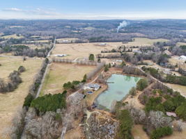  Photo 88