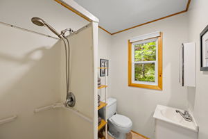  Photo 41