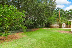 Backyard