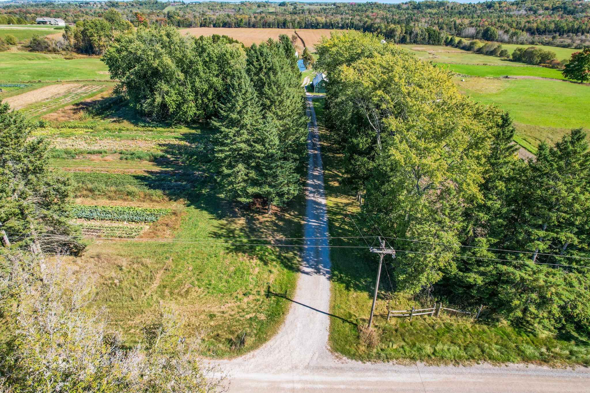 12499 Concession Rd 5