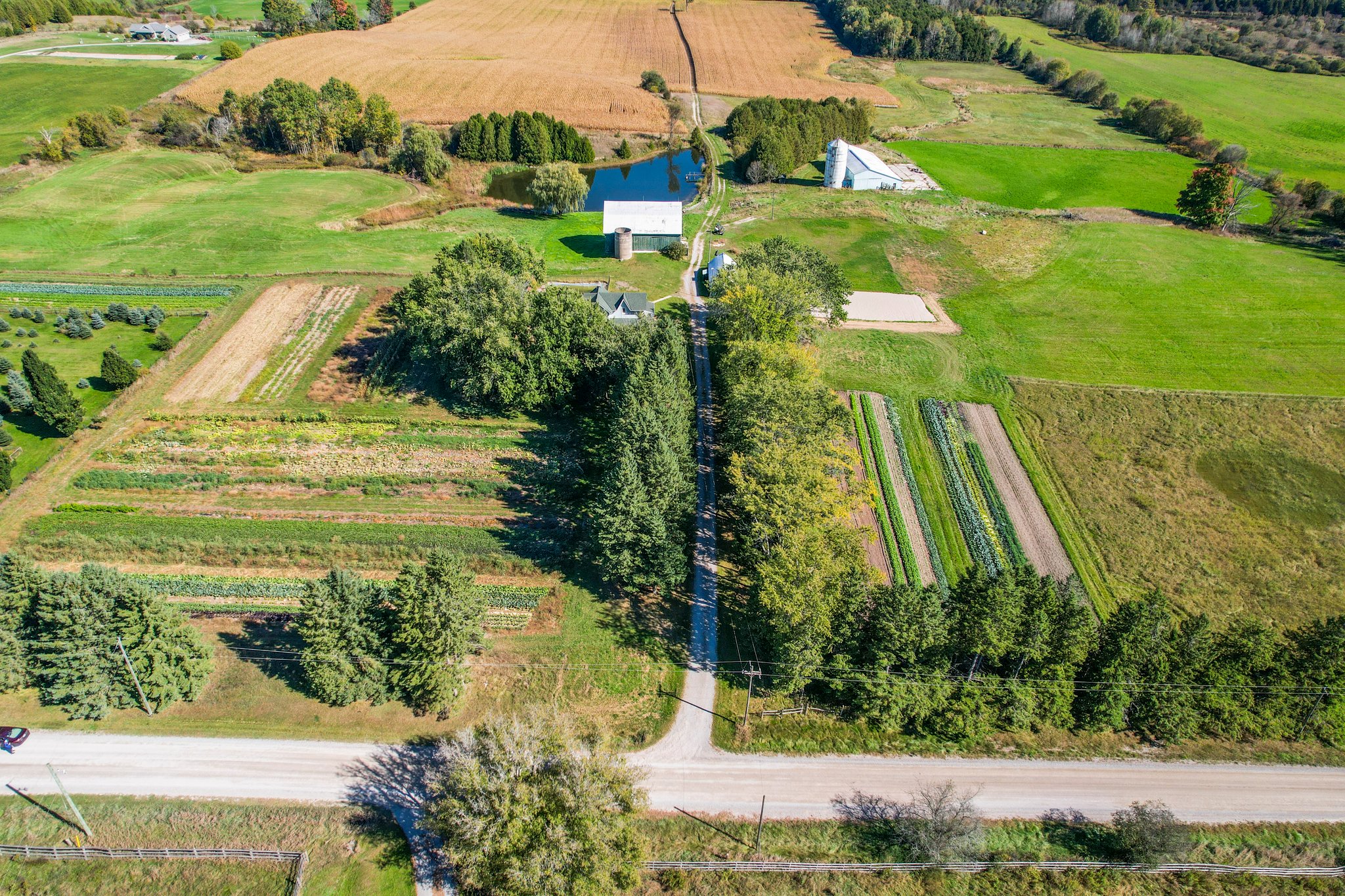 12499 Concession Rd 5 ON L9P 1R2