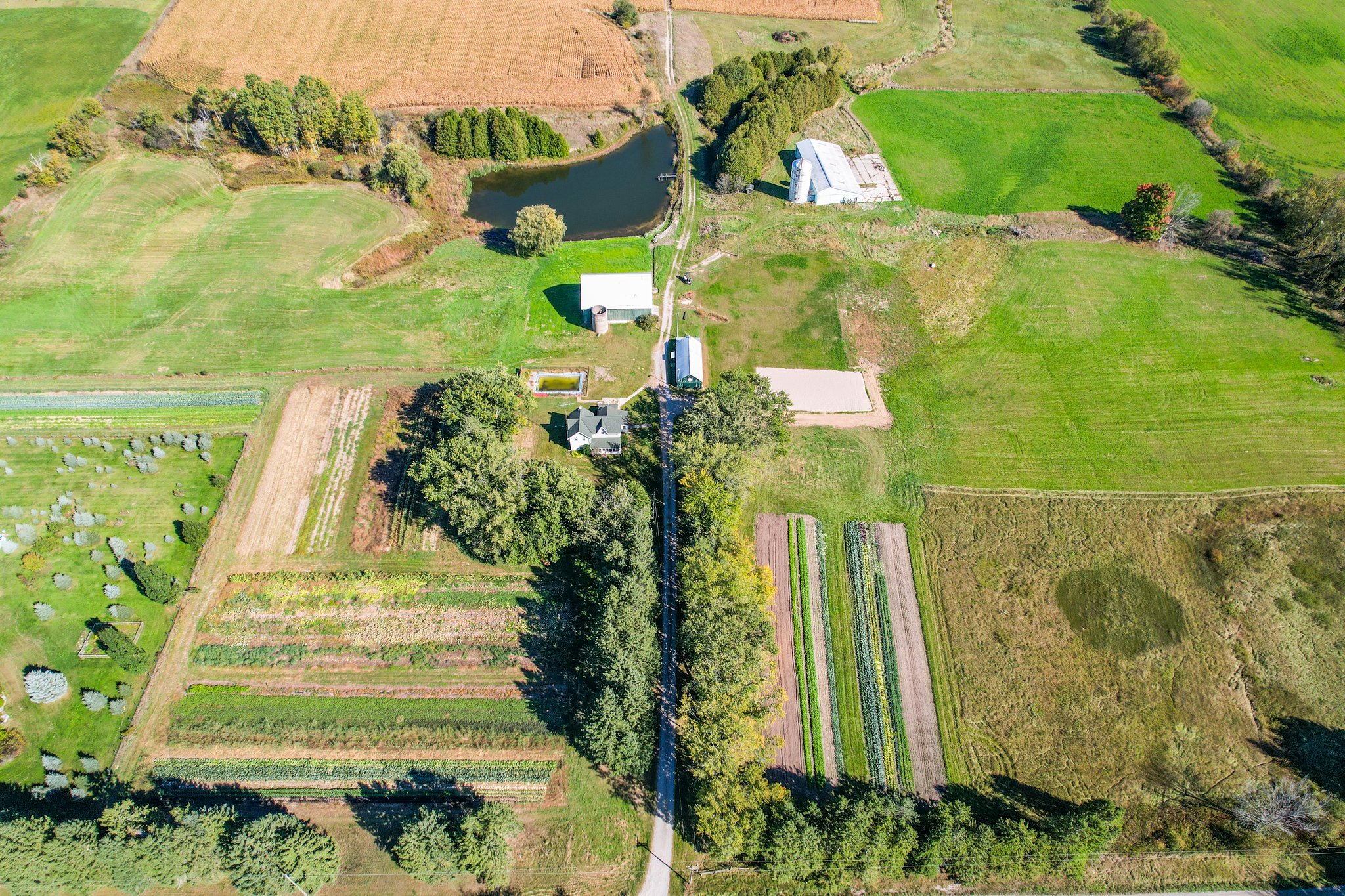 12499 Concession Rd 5 ON L9P 1R2