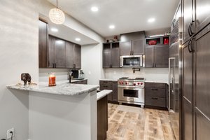 Basement Kitchen