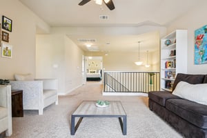 Checkerspot Ct-1506-024.jpg