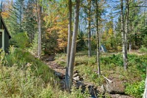  Photo 49