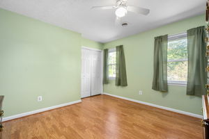  Photo 43