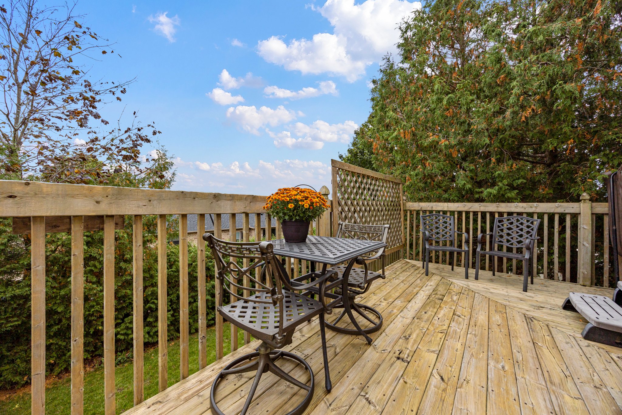 Newmarket property showcase — delivered property photograph 46