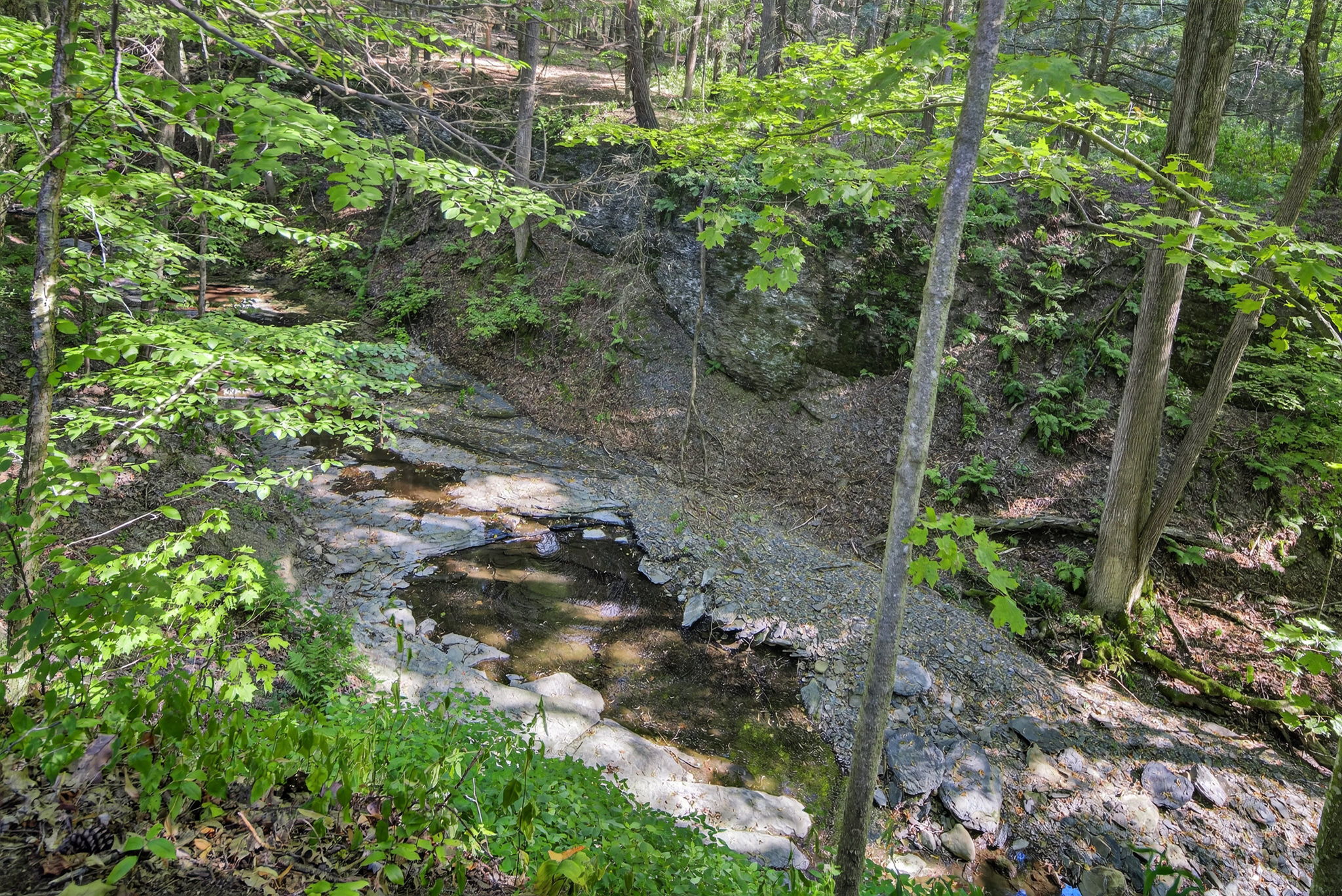  Photo 46