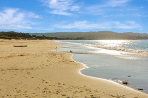 046_125 Surf Way 433