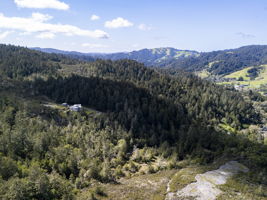  Photo 33