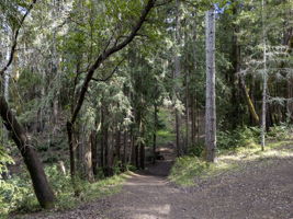  Photo 31
