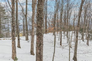 Upward Way-S0402-067.jpg