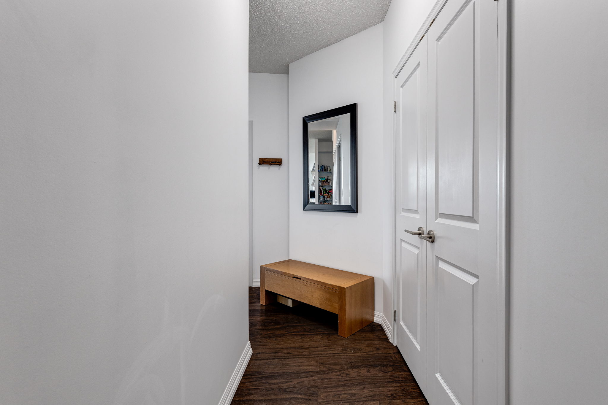 Toronto property showcase — delivered property photograph 3
