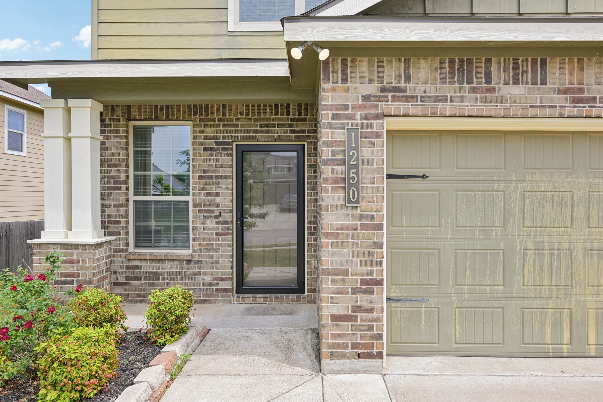 Jester Ct-S0804-005.jpg