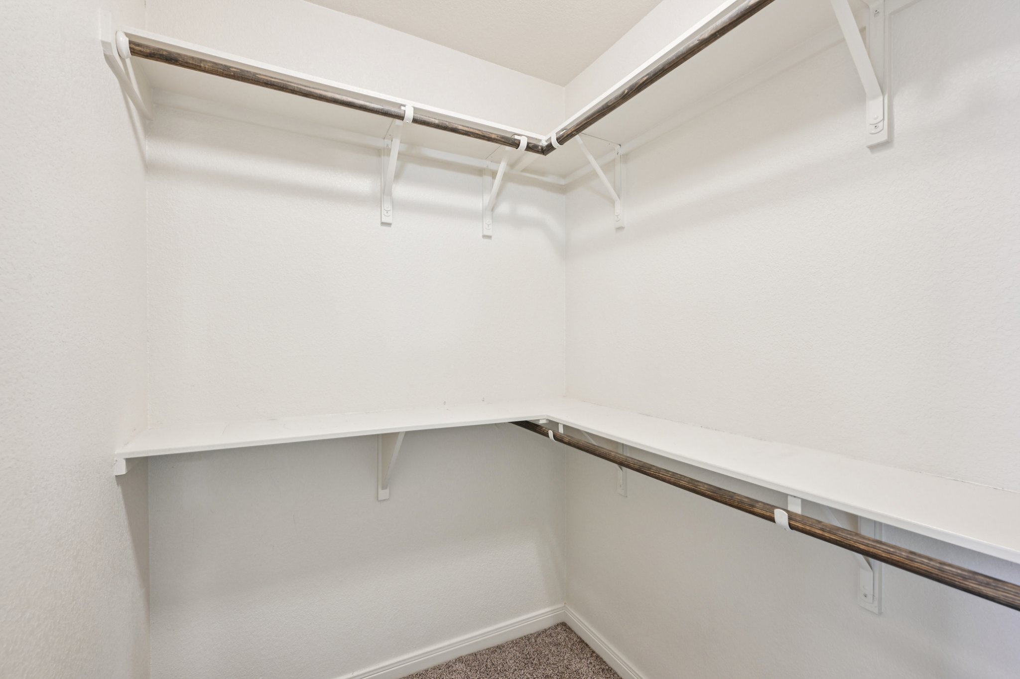 Jester Ct-S0804-022.jpg