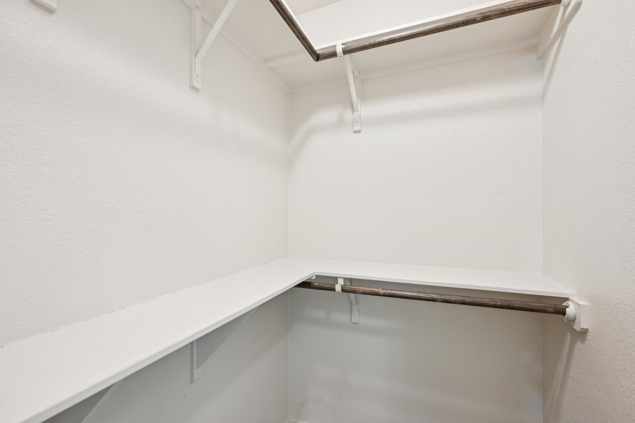 Jester Ct-S0804-023.jpg