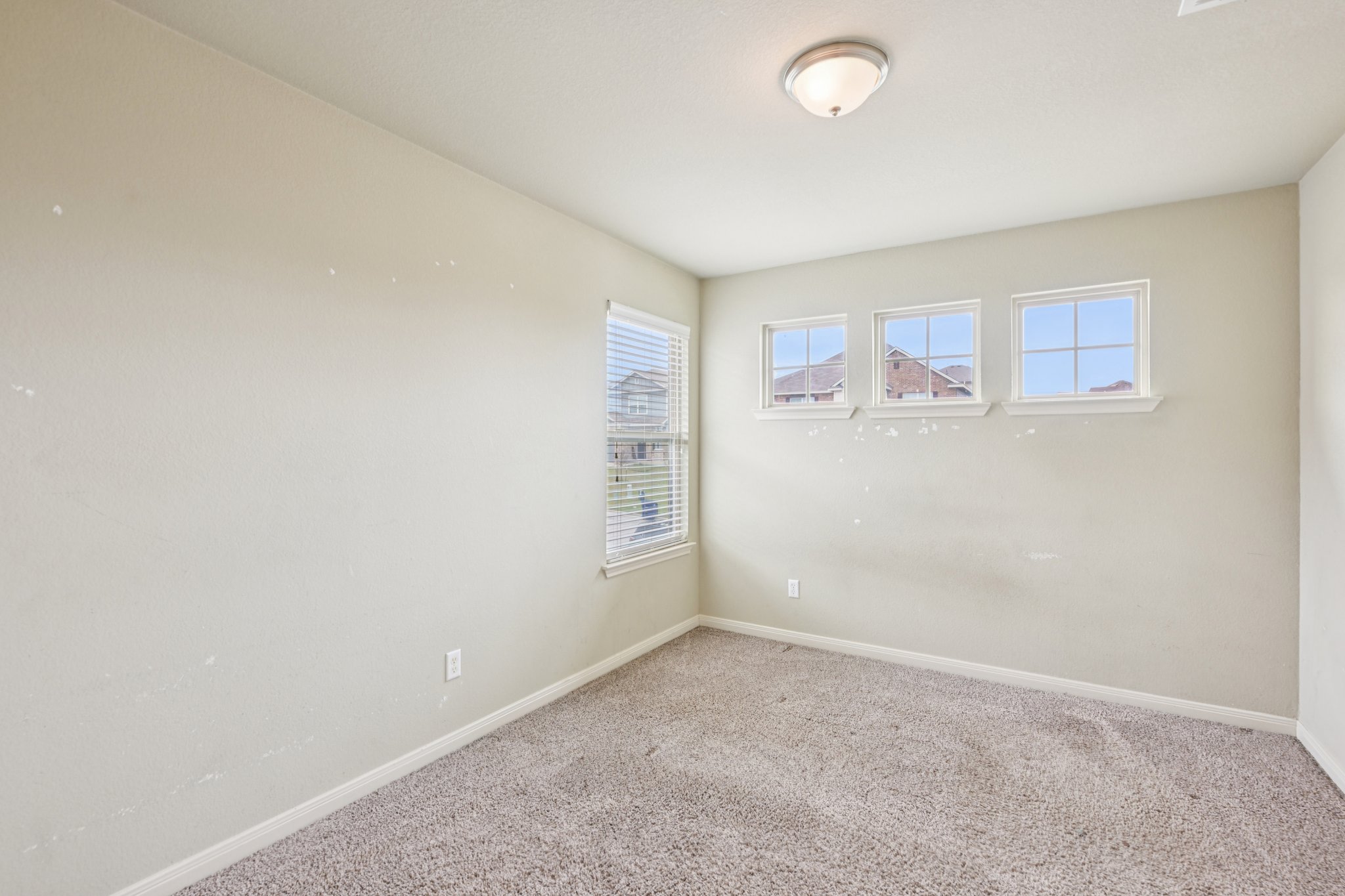 Jester Ct-S0804-026.jpg