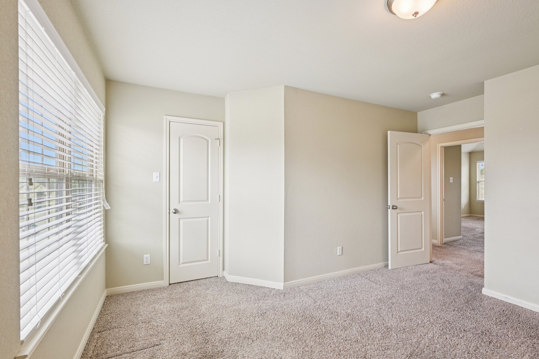 Jester Ct-S0804-031.jpg