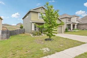 Jester Ct-S0804-004.jpg