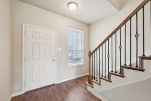 Jester Ct-S0804-006.jpg