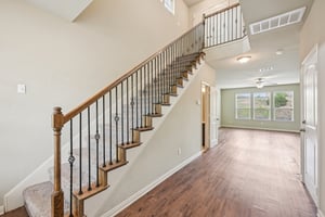 Jester Ct-S0804-007.jpg