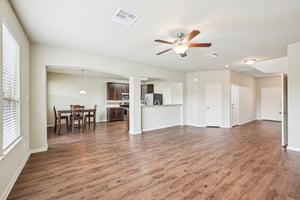 Jester Ct-S0804-009.jpg