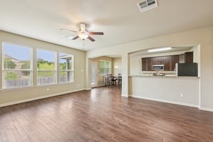 Jester Ct-S0804-010.jpg