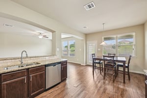 Jester Ct-S0804-014.jpg