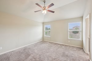 Jester Ct-S0804-017.jpg