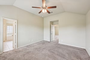 Jester Ct-S0804-018.jpg