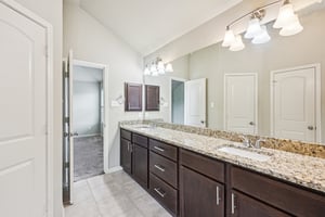 Jester Ct-S0804-020.jpg